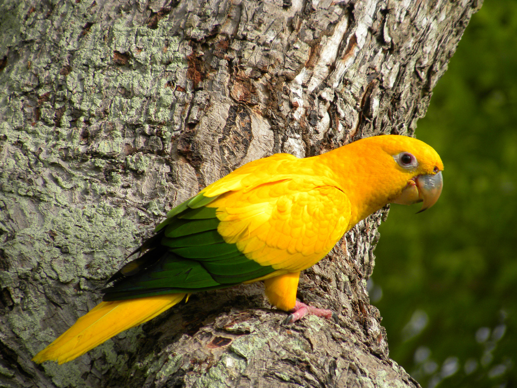 4590521598_cc53714051_b